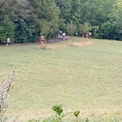 Run Archery - Découverte